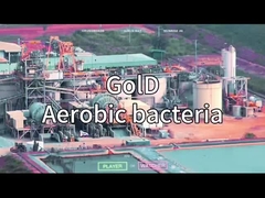 VSA VPSA Generator oksigen